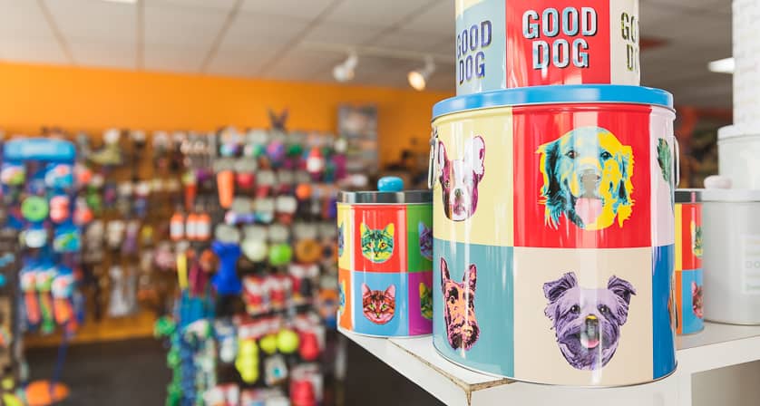 Pet Supplies for Asheville Dogs