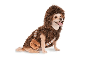 Dog Costume